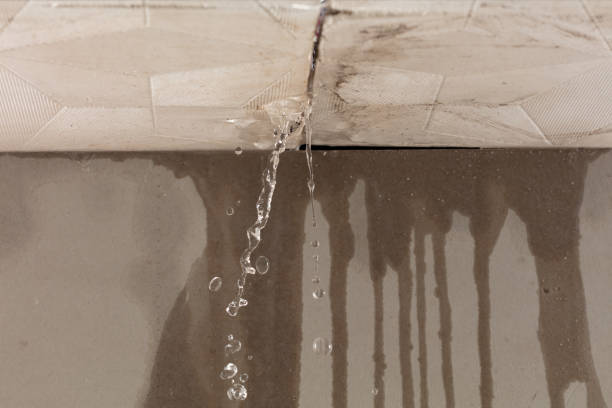 Professional Water Damage Repair technician working in Rockford, OH